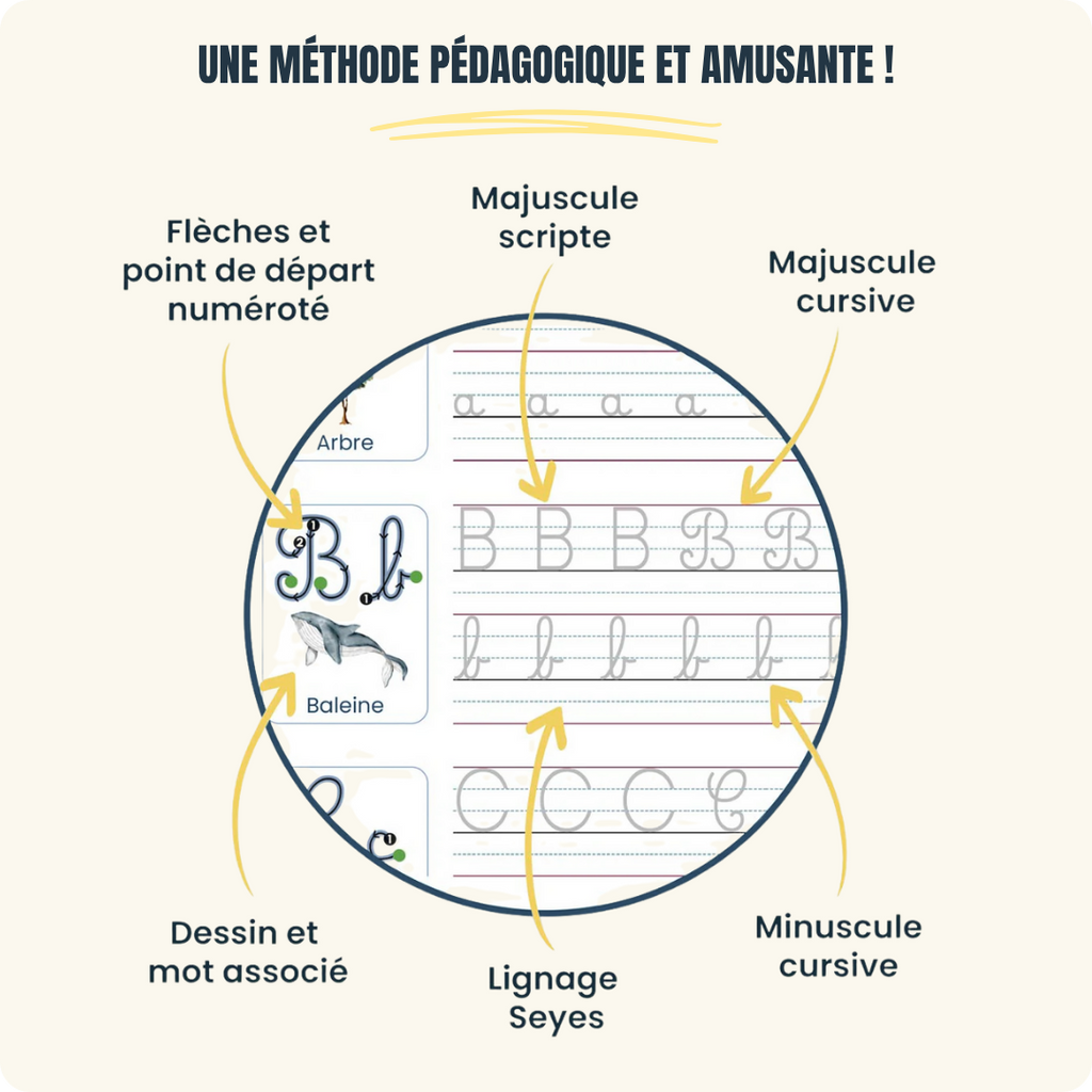 Cahiers Magiques Scrita | Une méthode validée par l'expérience, pour des progrès visibles en 14 jours
