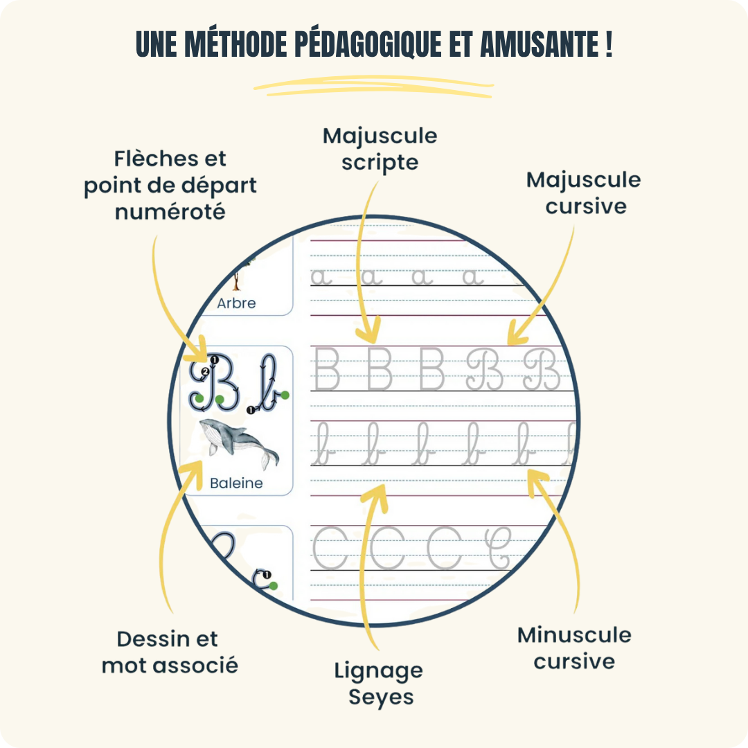 Cahiers Magiques Scrita | Une méthode validée par l'expérience, pour des progrès visibles en 14 jours